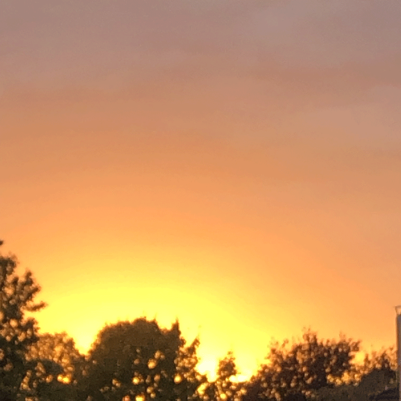 780 Broitzem Abendrot